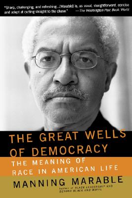 The Great Wells Of Democracy: The Meaning Of Race In American Life