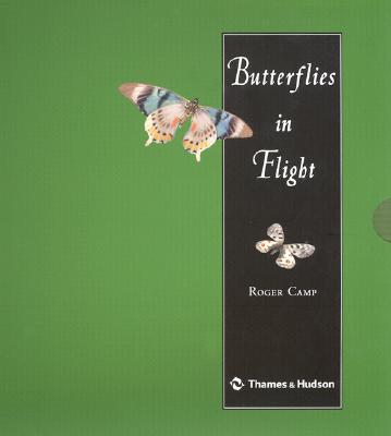 Butterflies in Flight