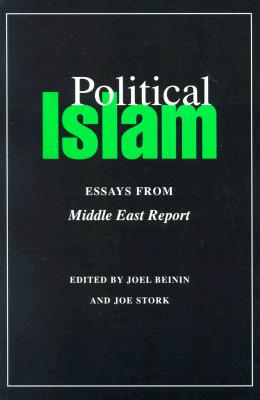 Political Islam (Merip Reader)