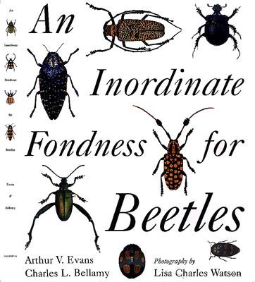 An Inordinate Fondness for Beetles