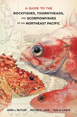 Guide to the Rockfishes, Thornyheads, and Scorpionfishes of the Northeast Pacific
