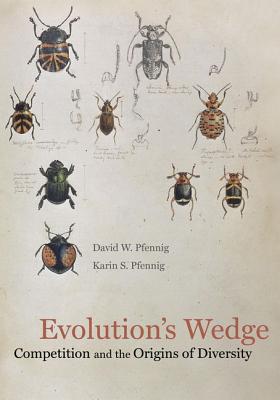 Evolution's Wedge: Competition and the Origins of Diversity (Volume 12) (Organisms and Environments)