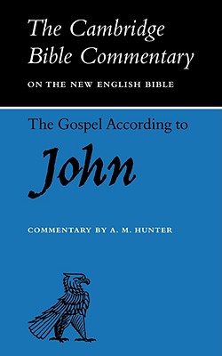 Image for The Gospel according to John (Cambridge Bible Commentaries on the New Testament)