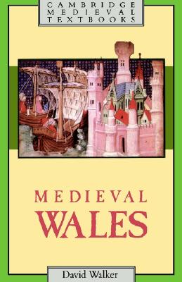 Image for Medieval Wales (Cambridge Medieval Textbooks) Medieval Wales (Cambridge Medieval Textbooks)