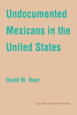 Undocumented Mexicans in the USA (American Sociological Association Rose Monographs)