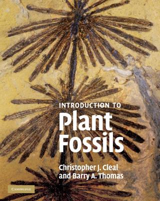 An Introduction to Plant Fossils