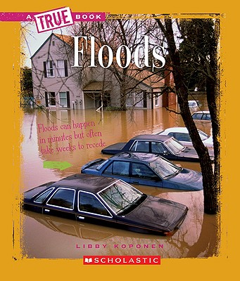 Floods (A True Book: Earth Science) (A True Book (Relaunch))