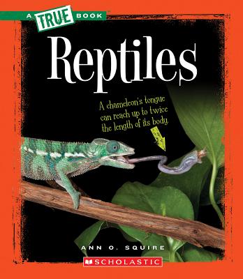Reptiles (A True Book: Animal Kingdom)