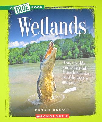 Wetlands (A True Book)