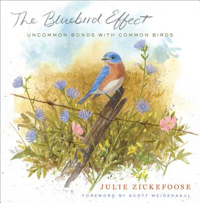 Bluebird Effect: Uncommon Bonds with Common Birds