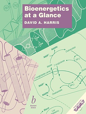 Bioenergetics at a Glance: An Illustrated Introduction
