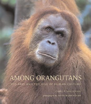 Among Orangutans: Red Apes and the Rise of Human Culture