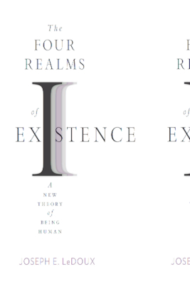 The Four Realms of Existence: A New Theory of Being Human