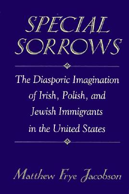 Special Sorrows: The Diasporic Imagination of Irish, Polish, and Jewish Immigrants in the United States