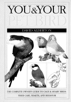 Image for You and Your Pet Bird You and Your Pet Bird