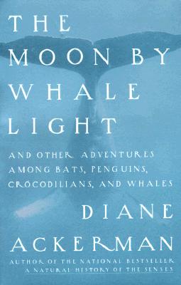 Image for MOON BY WHALE LIGHT