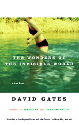The Wonders of the Invisible World (Vintage Contemporaries)