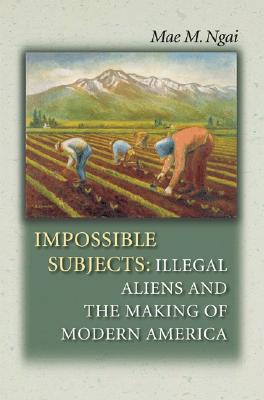 Impossible Subjects: Illegal Aliens and the Making of Modern America (Politics and Society in Modern America, 90)