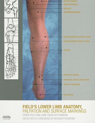 Lower Limb Anatomy, Palpation & Surface Markings