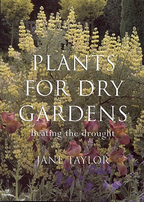 Plants for Dry Gardens: Beating the Drought