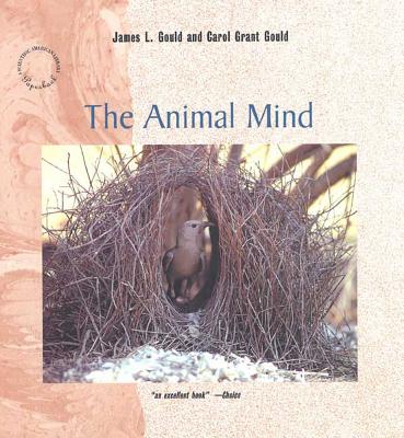 Animal Mind