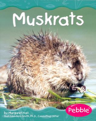 Muskrats (Wetland Animals)
