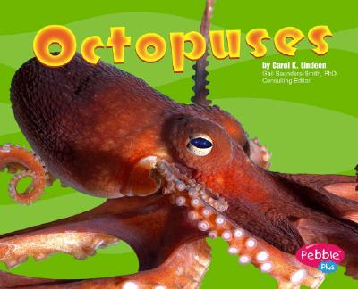 Image for Octopuses (Pebble Plus) Octopuses (Pebble Plus)