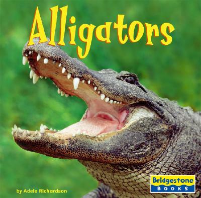 Image for Alligators (World of Reptiles) Alligators (World of Reptiles)