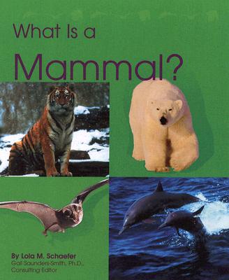 What Is a Mammal (The Animal Kingdom)
