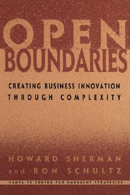 Open Boundaries: Creating Business Innovation Through Complexity