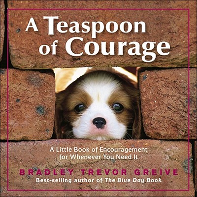Image for A Teaspoon of Courage: A Little Book of Encouragement for Whenever You Need It