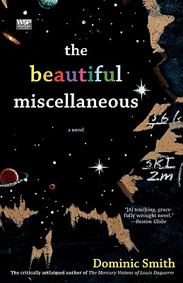 The Beautiful Miscellaneous: A Novel