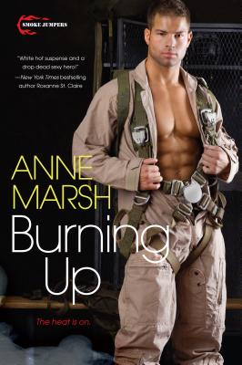 Image for Burning Up