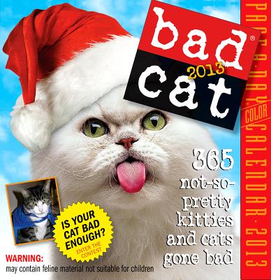 Image for Bad Cat: 244 Not-So-Pretty Kitties and Cats Gone Bad