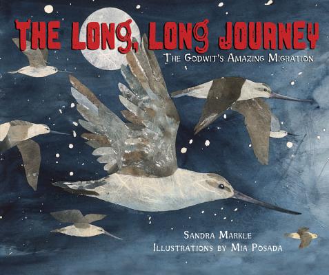 Image for The Long, Long Journey: The Godwit's Amazing Migration The Long, Long Journey: The Godwit's Amazing Migration