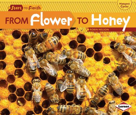 From Flower to Honey (Start to Finish, Second Series)