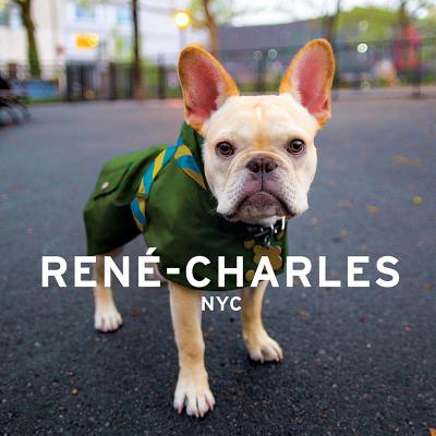 Image for Rene-Charles: NYC: Little Bulldog in the Big City Rene-Charles: NYC: Little Bulldog in the Big City