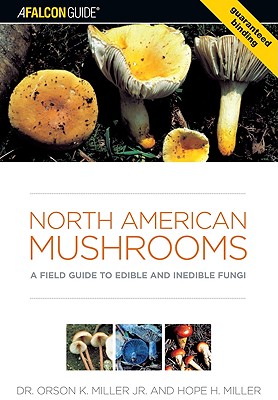 Image for North American Mushrooms: A Field Guide To Edible And Inedible Fungi (Falconguide)