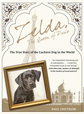 Zelda, The Queen of Paris: The True Story Of The Luckiest Dog In The World
