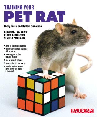 Image for Training Your Pet Rat (Training Your Pet Series)