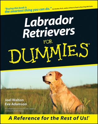 Image for Labrador Retrievers For Dummies