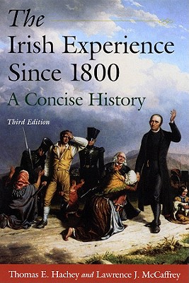 The Irish Experience Since 1800: A Concise History