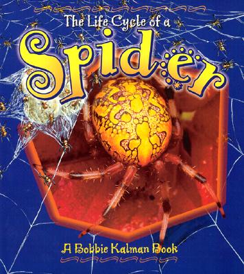 Image for The Life Cycle of a Spider The Life Cycle of a Spider