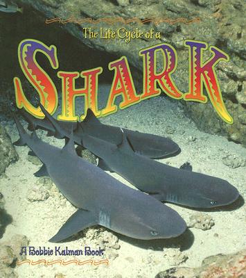 Shark (Life Cycle of A.(Paperback))