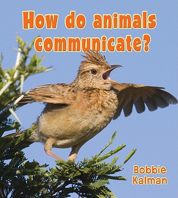 How Do Animals Communicate (Big Science Ideas (Paperback))
