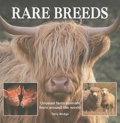 Image for RARE BREEDS: UNUSUAL FARM ANIMALS FROM AROUND THE WORLD