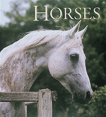Image for Horses (Tiny Folio)