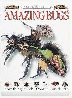 Amazing Bugs (American)