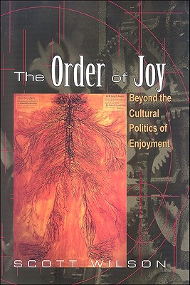 The Order of Joy: Beyond the Cultural Politics of Enjoyment (Psychoanalysis and Culture)