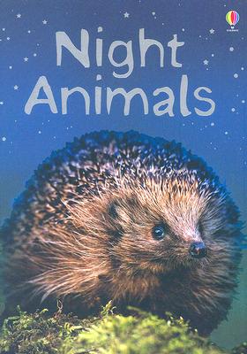 Night Animals: Level 1